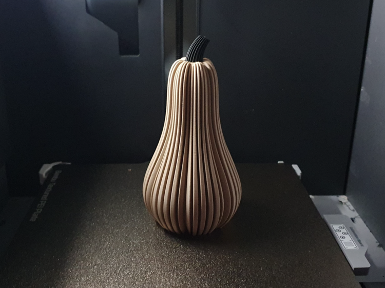 Afbeeldingen van 3D-geprinte Flespompoen – Herfstdecoratie in Stijl