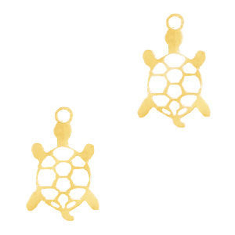 Afbeeldingen van Bedel van Stainless Steel (RVS) – Schildpad Goud