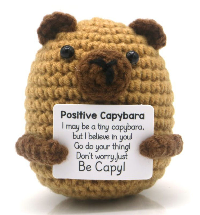 Afbeeldingen van Knitted Positive Capybara – 7 cm