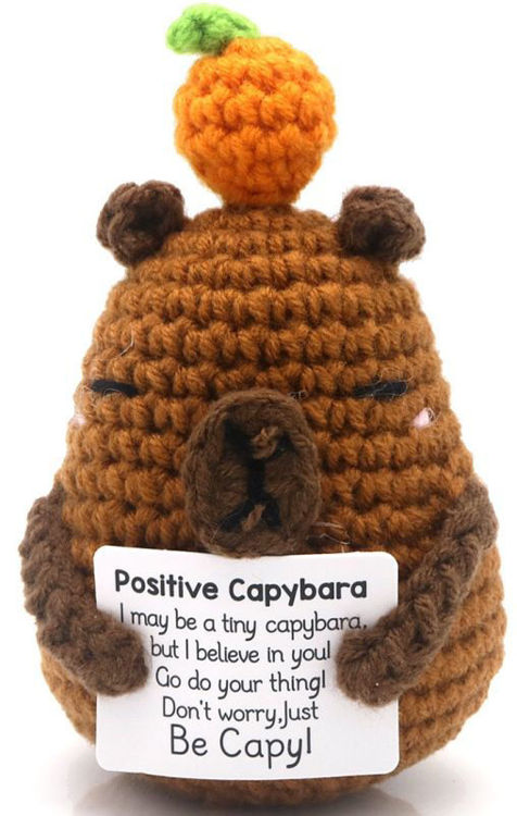 Afbeeldingen van Knitted Positive Capybara - 10cm - pompoen
