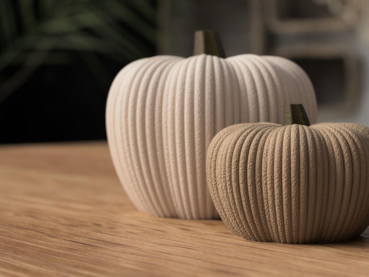 Afbeeldingen van 3D-geprinte Pompoen – Herfstdecoratie in Stijl